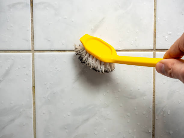 Mold Removal Process in Boonville, IN
