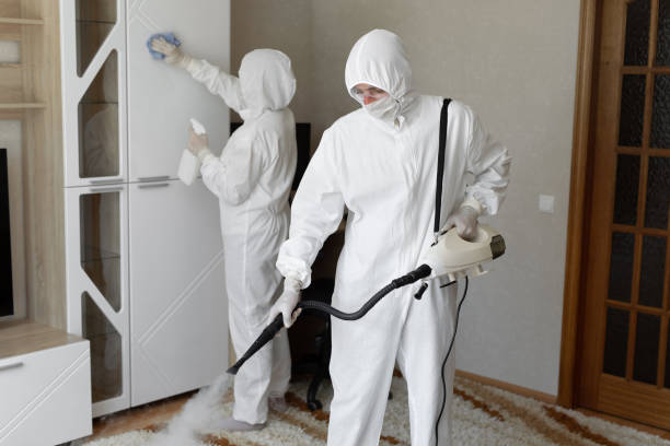Best Mold Removal Process  in Boonville, IN
